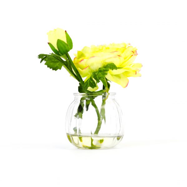 Green Ranunculus in Glass Vase